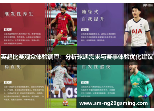 英超比赛观众体验调查：分析球迷需求与赛事体验优化建议