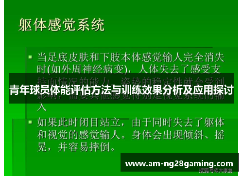 青年球员体能评估方法与训练效果分析及应用探讨 青年球员体能评估方法与训练效果分析及应用探讨