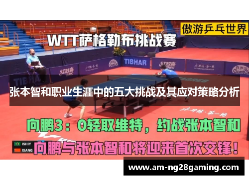 张本智和职业生涯中的五大挑战及其应对策略分析