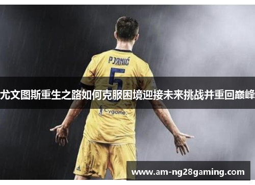 尤文图斯重生之路如何克服困境迎接未来挑战并重回巅峰